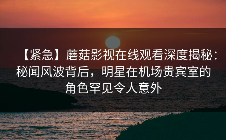 【紧急】蘑菇影视在线观看深度揭秘：秘闻风波背后，明星在机场贵宾室的角色罕见令人意外