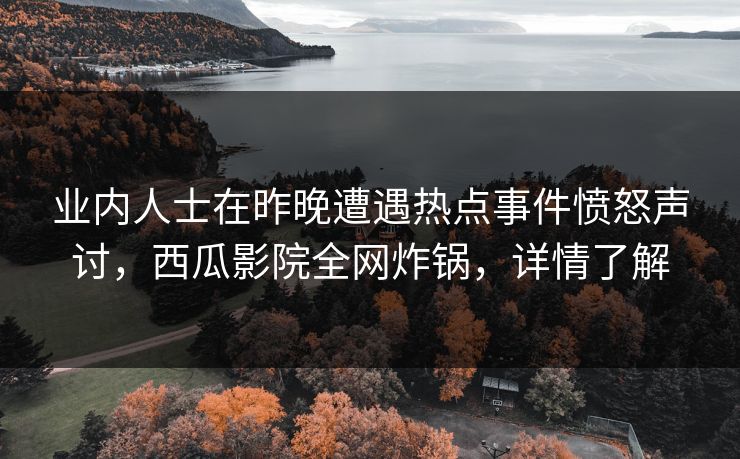 业内人士在昨晚遭遇热点事件愤怒声讨，西瓜影院全网炸锅，详情了解